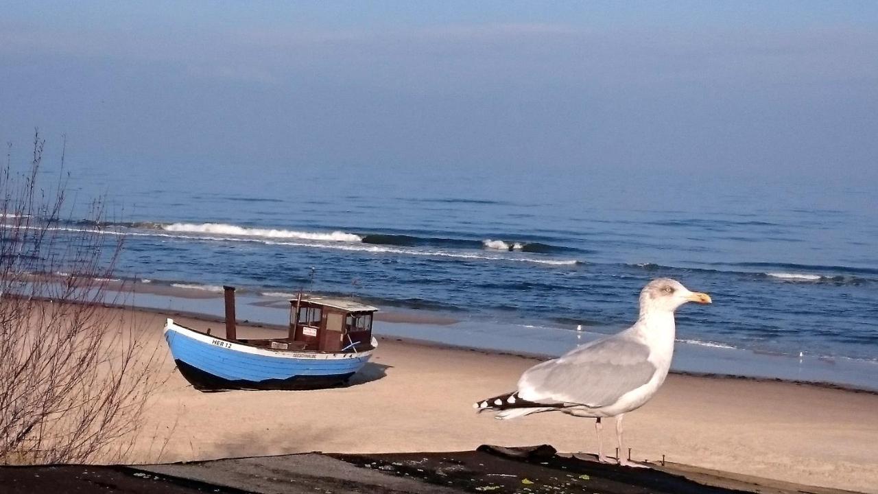 Ferienwohnung Froehling - 90 M Zum Strand Герінгсдорф Екстер'єр фото